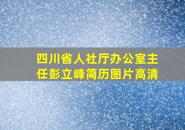 四川省人社厅办公室主任彭立峰简历图片高清