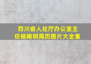 四川省人社厅办公室主任杨晞明简历图片大全集