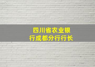 四川省农业银行成都分行行长