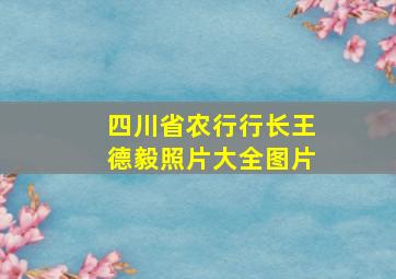 四川省农行行长王德毅照片大全图片