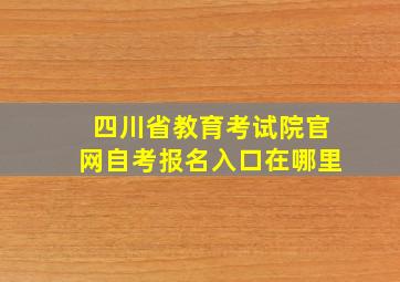 四川省教育考试院官网自考报名入口在哪里