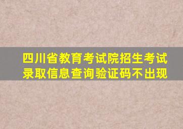 四川省教育考试院招生考试录取信息查询验证码不出现