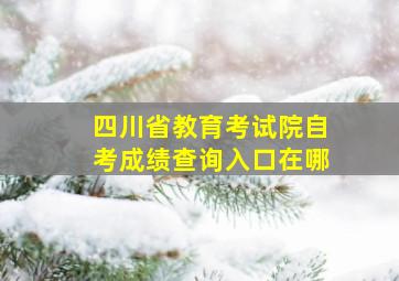 四川省教育考试院自考成绩查询入口在哪