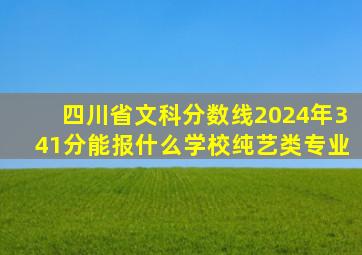 四川省文科分数线2024年341分能报什么学校纯艺类专业