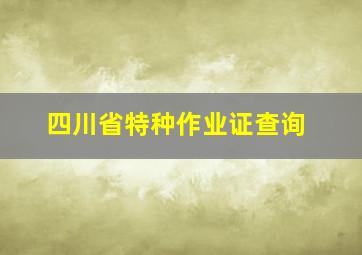 四川省特种作业证查询