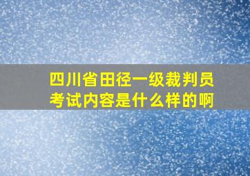 四川省田径一级裁判员考试内容是什么样的啊