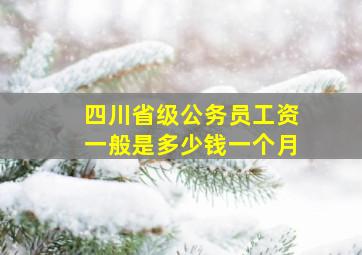 四川省级公务员工资一般是多少钱一个月