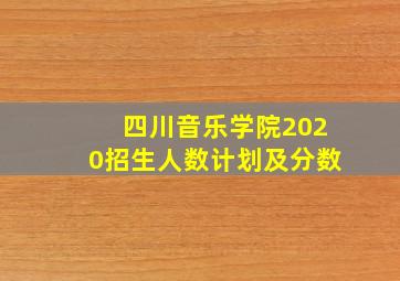 四川音乐学院2020招生人数计划及分数