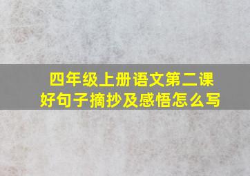 四年级上册语文第二课好句子摘抄及感悟怎么写