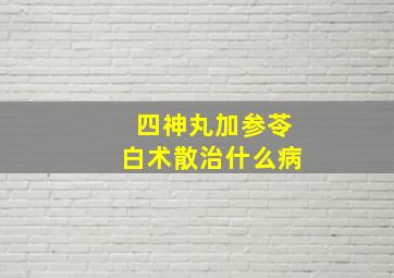 四神丸加参苓白术散治什么病