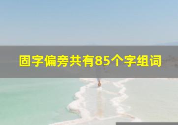 固字偏旁共有85个字组词