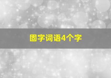 固字词语4个字