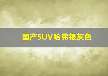 国产SUV哈弗银灰色