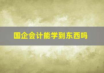 国企会计能学到东西吗