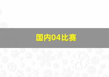 国内04比赛