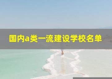 国内a类一流建设学校名单