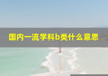 国内一流学科b类什么意思