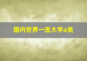 国内世界一流大学a类