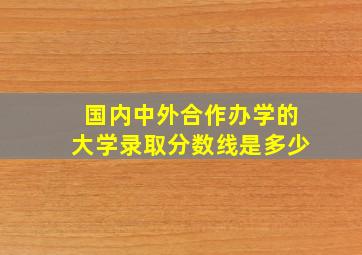 国内中外合作办学的大学录取分数线是多少