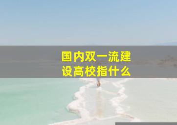 国内双一流建设高校指什么