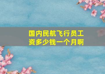 国内民航飞行员工资多少钱一个月啊