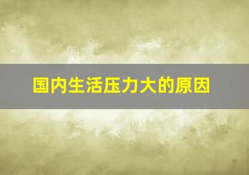 国内生活压力大的原因