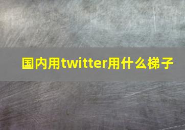 国内用twitter用什么梯子