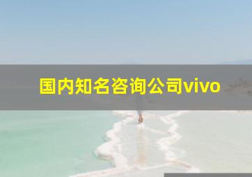 国内知名咨询公司vivo