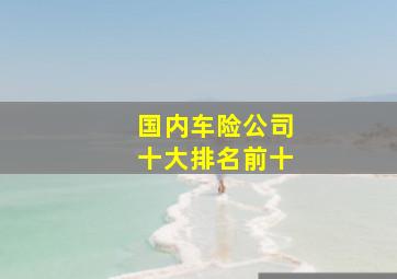 国内车险公司十大排名前十