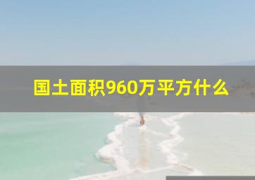 国土面积960万平方什么