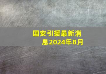 国安引援最新消息2024年8月