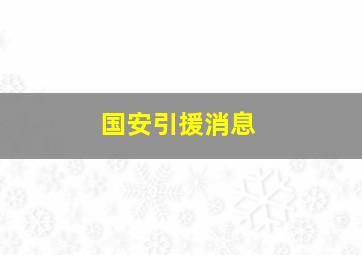 国安引援消息