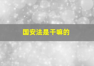 国安法是干嘛的