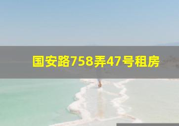 国安路758弄47号租房