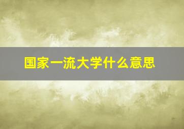 国家一流大学什么意思