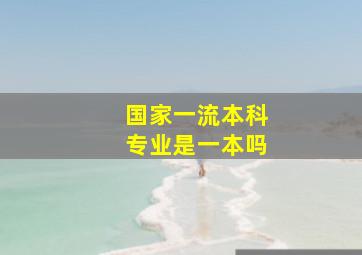 国家一流本科专业是一本吗