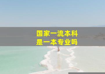 国家一流本科是一本专业吗