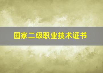 国家二级职业技术证书