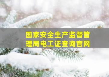 国家安全生产监督管理局电工证查询官网