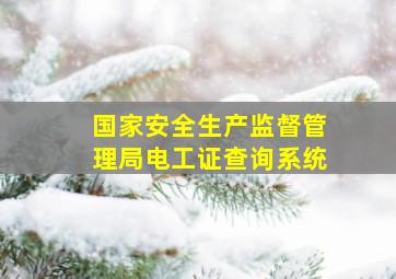 国家安全生产监督管理局电工证查询系统