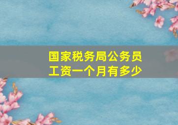 国家税务局公务员工资一个月有多少