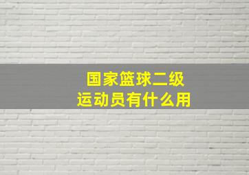 国家篮球二级运动员有什么用