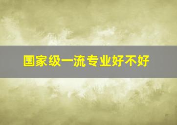 国家级一流专业好不好