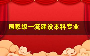 国家级一流建设本科专业