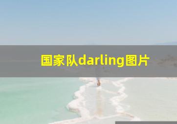 国家队darling图片