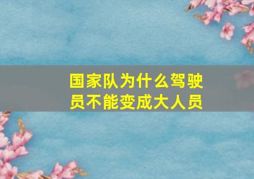 国家队为什么驾驶员不能变成大人员