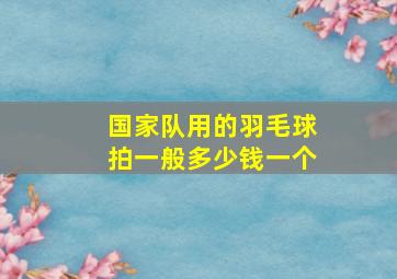 国家队用的羽毛球拍一般多少钱一个