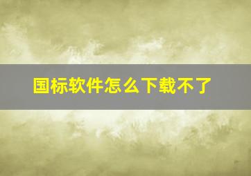 国标软件怎么下载不了