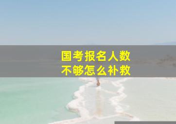 国考报名人数不够怎么补救