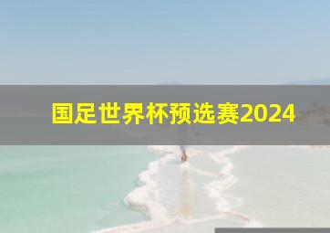 国足世界杯预选赛2024